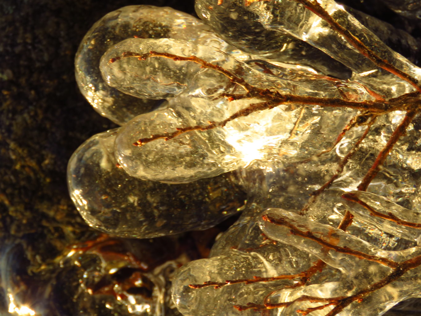 Valokuvaaja: anu kokkila