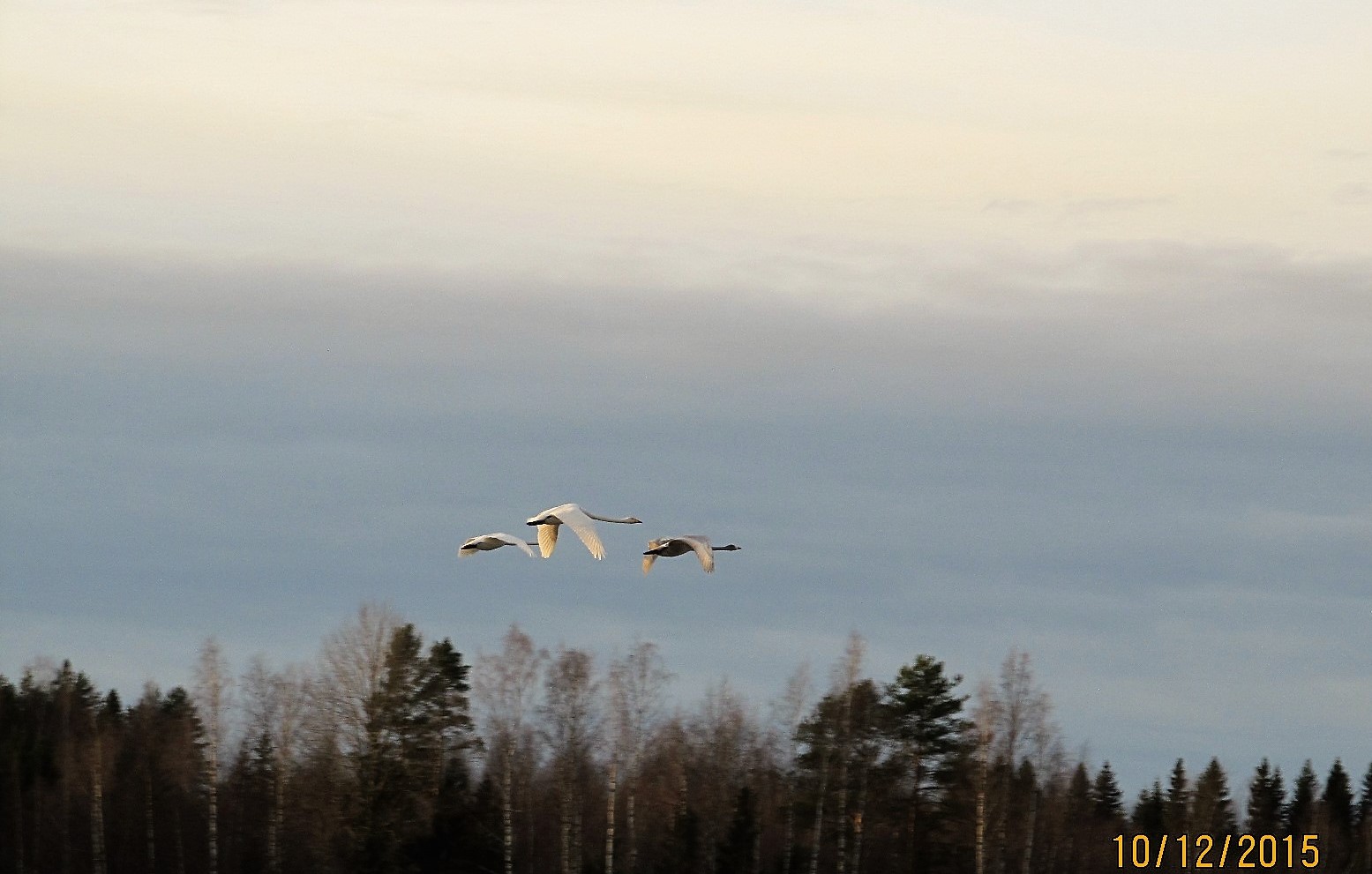 Valokuvaaja: Tuula Makkonen