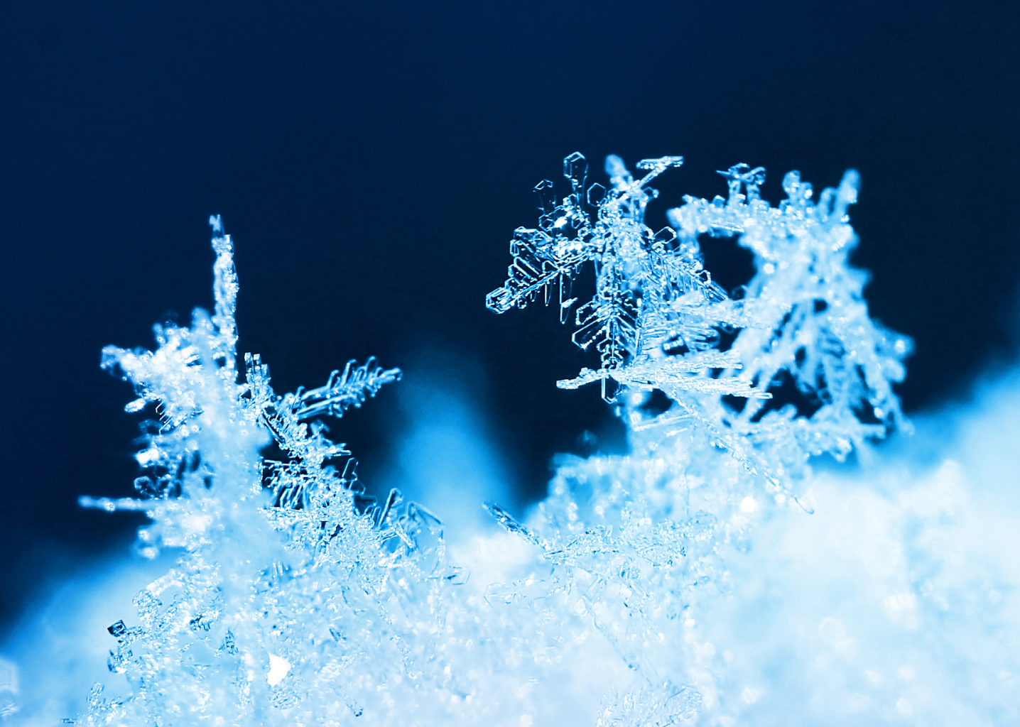 Valokuvaaja: Tarja Porkkala