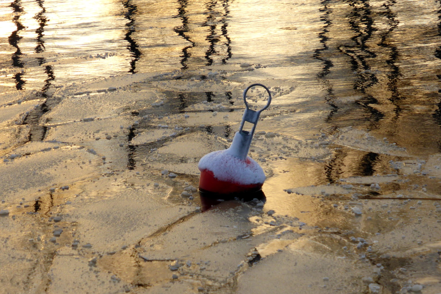 Valokuvaaja: Kaarlo Asikainen