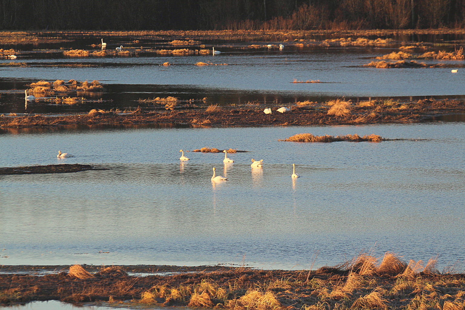 Valokuvaaja: Sirpa Jyske Valokuvaaja: Sirpa Jyske