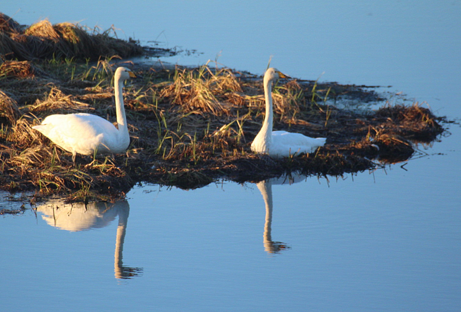 Valokuvaaja: Sirpa Jyske