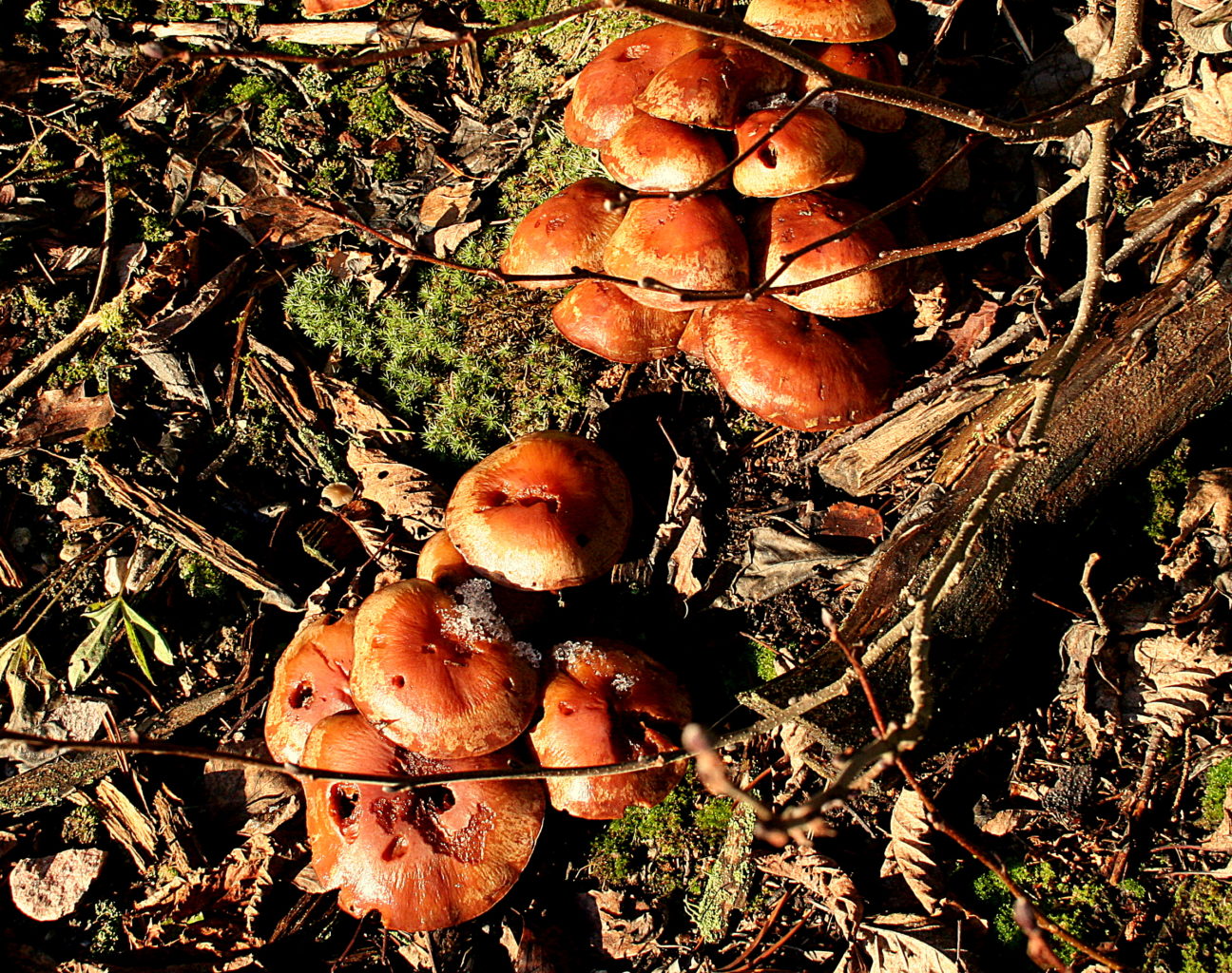 Valokuvaaja: Sirpa Jyske