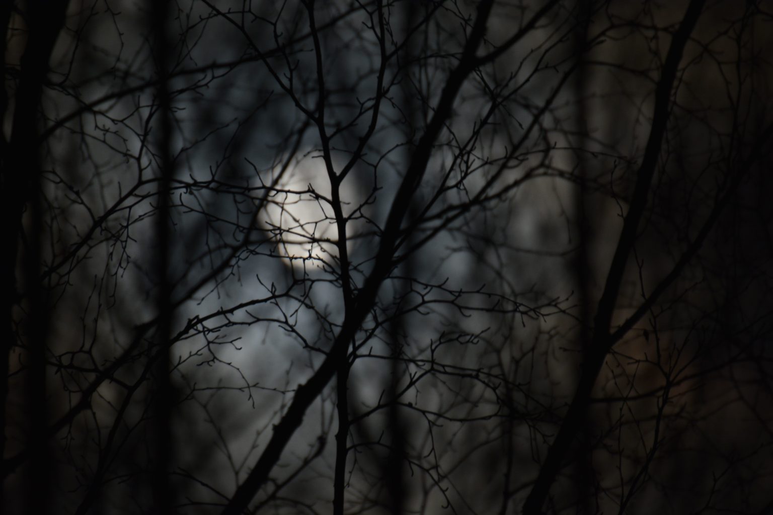 Valokuvaaja: Noora Andersson