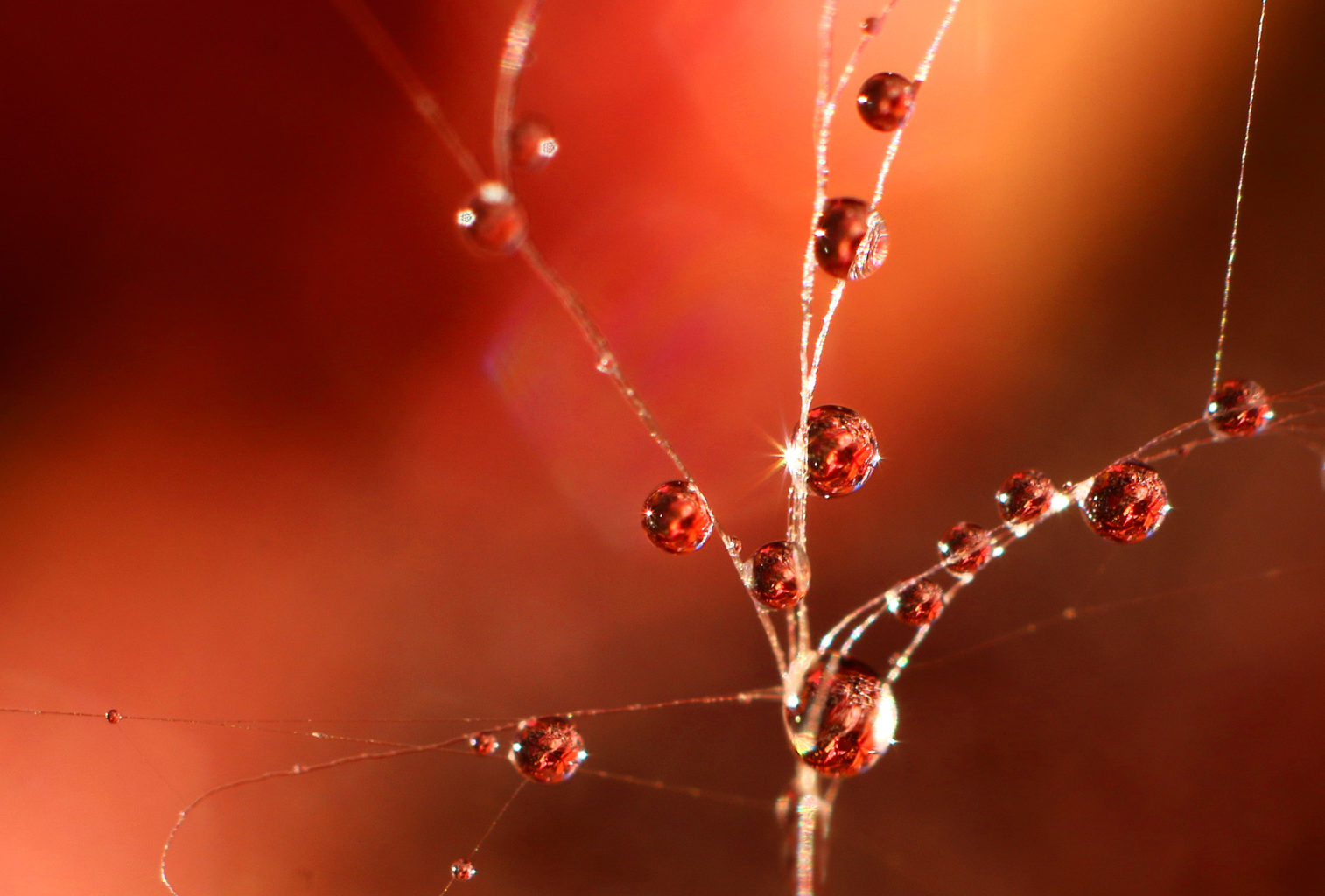 Valokuvaaja: Tarja Porkkala