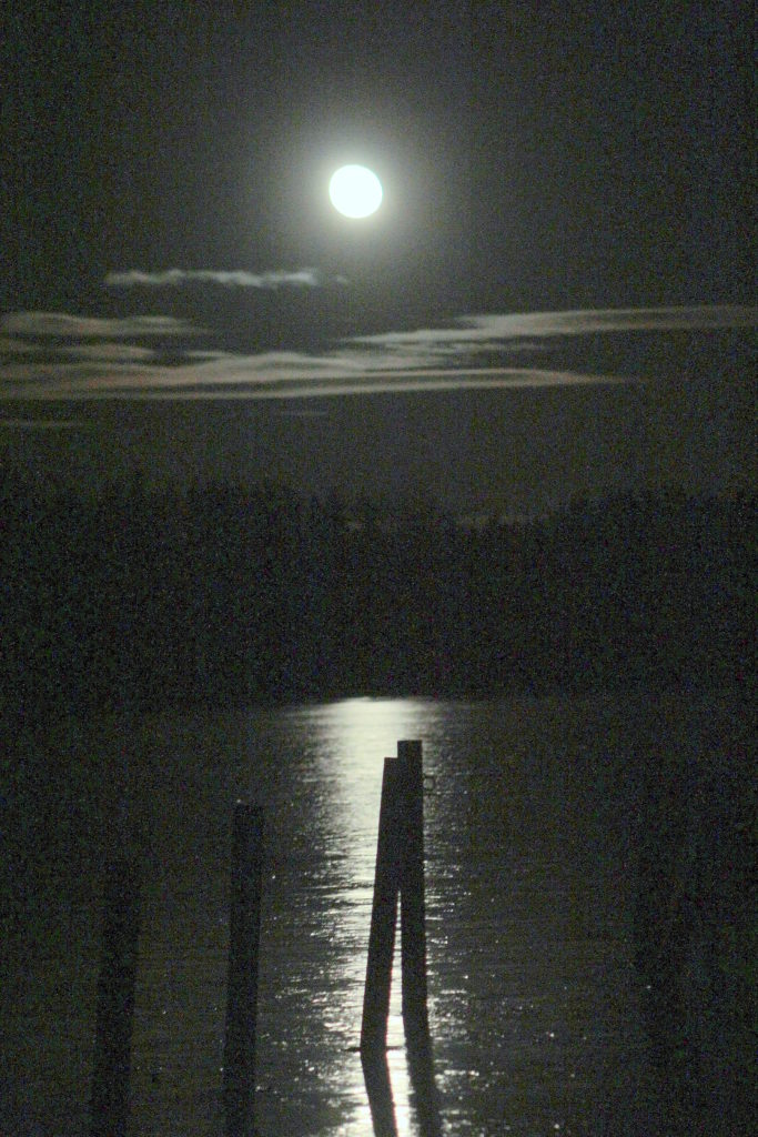 Valokuvaaja: Tapio Keinonen Valokuvaaja: Tapio Keinonen