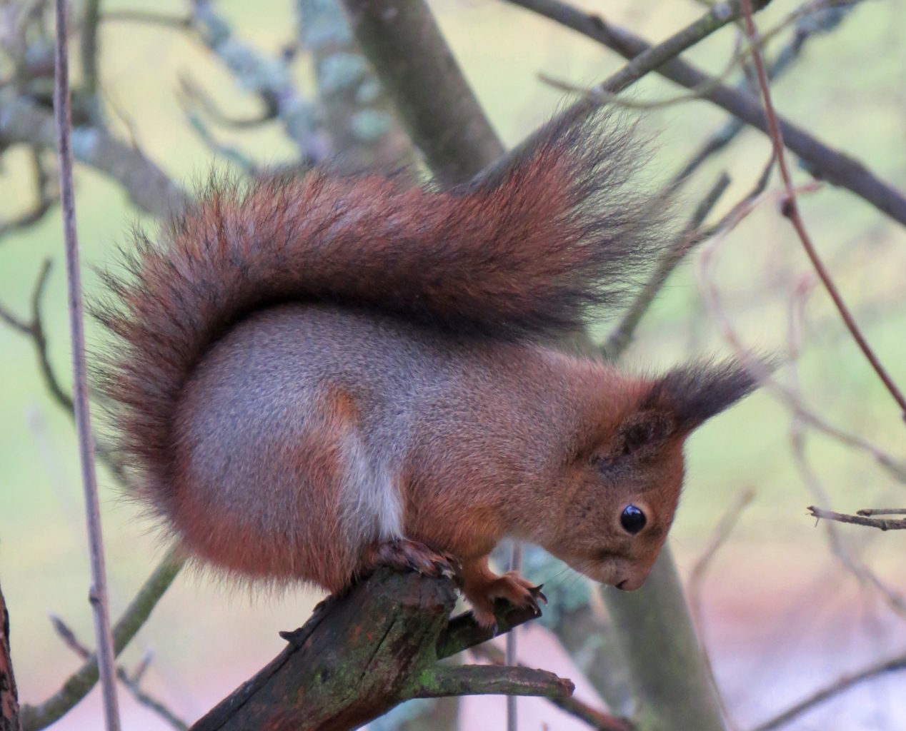 Valokuvaaja: Jaana Talvinen Valokuvaaja: Jaana Talvinen