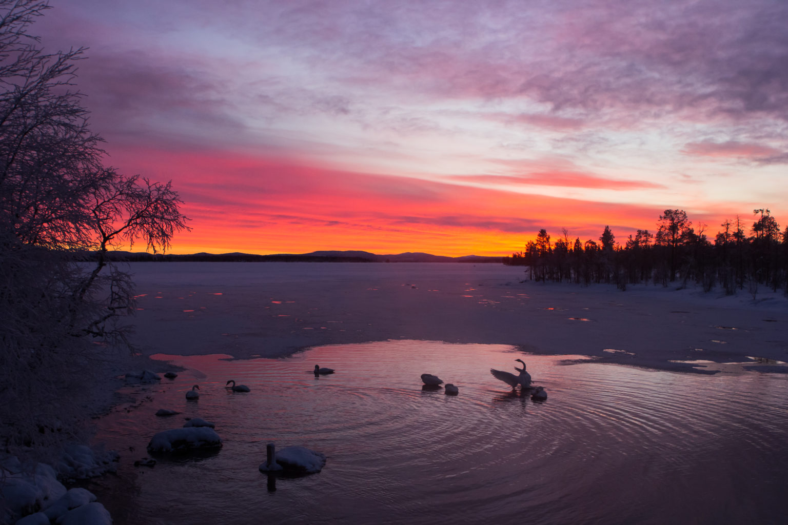 Valokuvaaja: Heikki Kainulainen