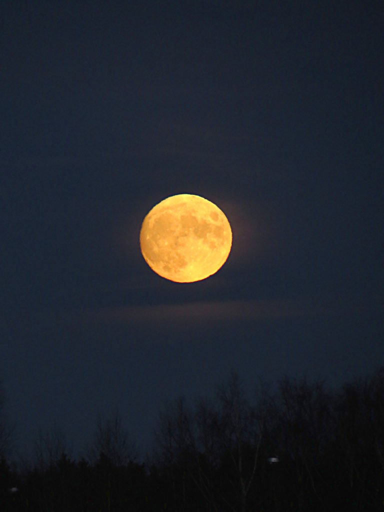 Valokuvaaja: Jaana Talvinen