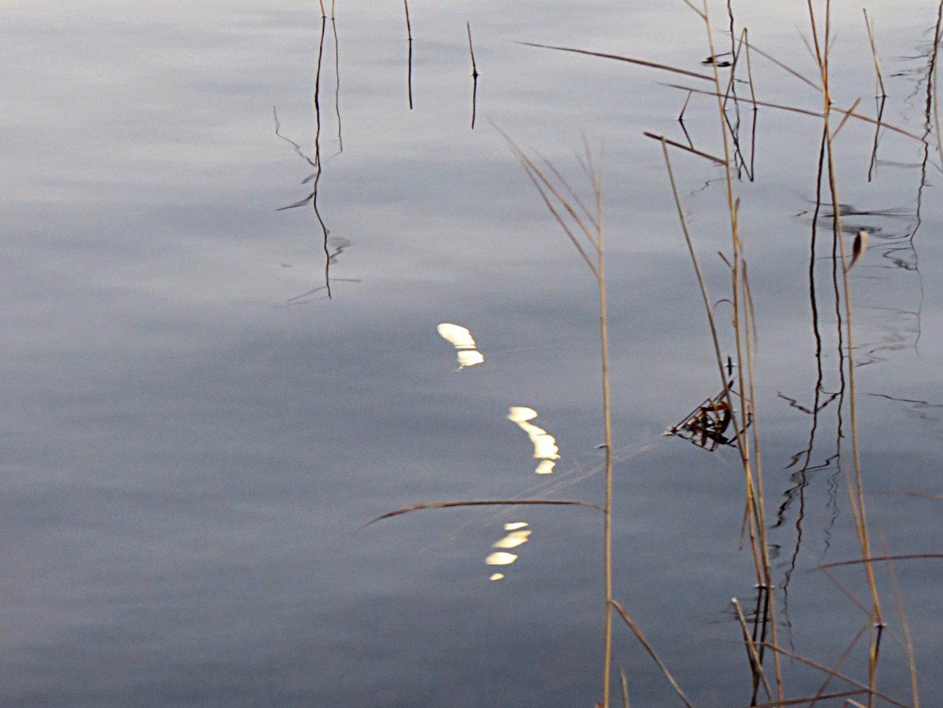 Valokuvaaja: Jaana Talvinen Valokuvaaja: Jaana Talvinen