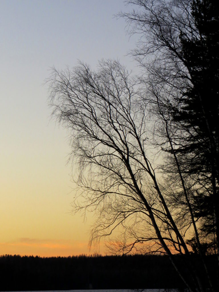Valokuvaaja: Jaana Talvinen