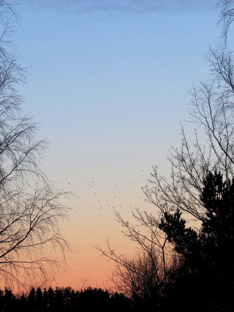 Valokuvaaja: Jaana Talvinen