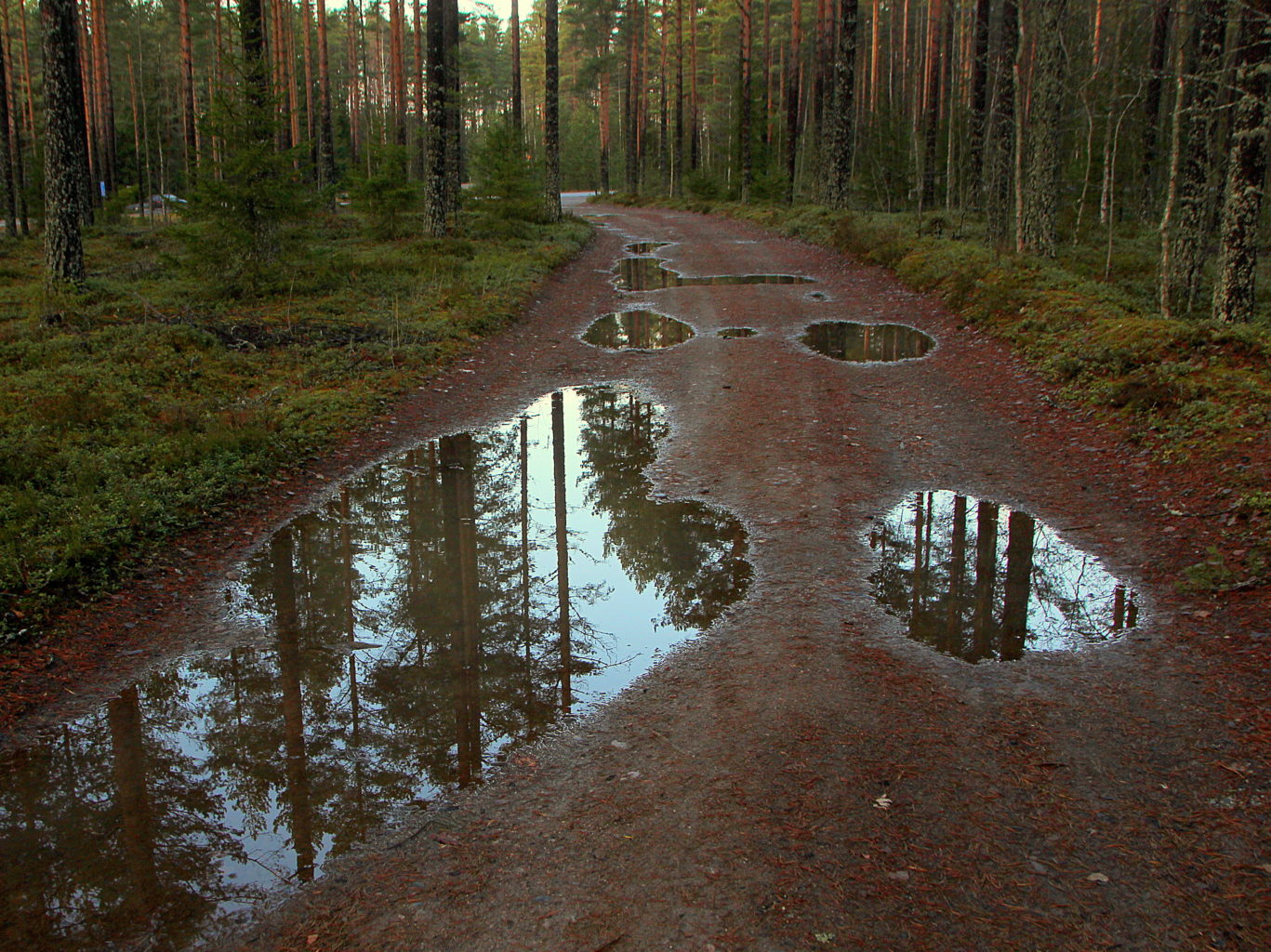Valokuvaaja: Sirpa Jyske
