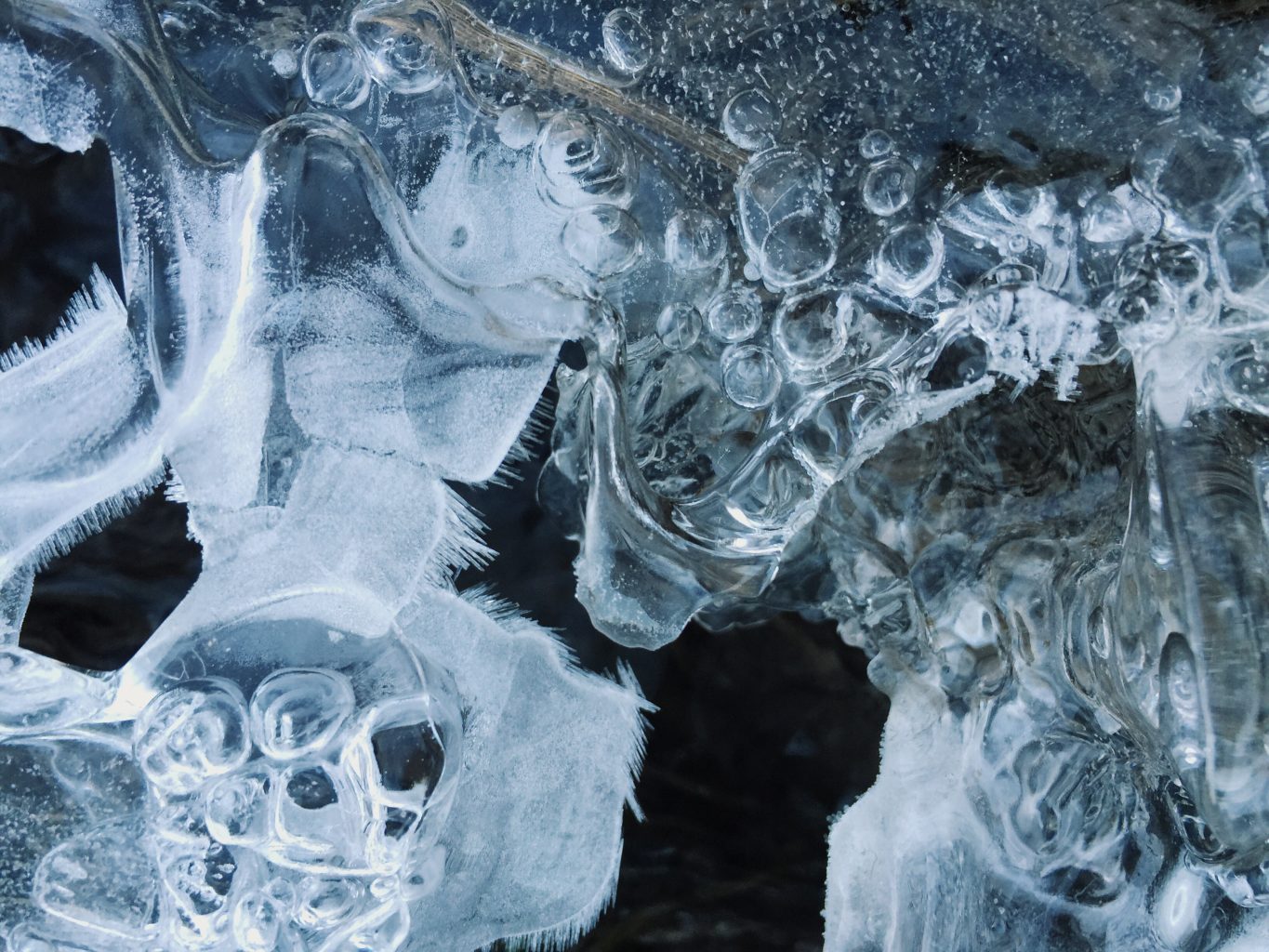 Valokuvaaja: Jutta Ylönen