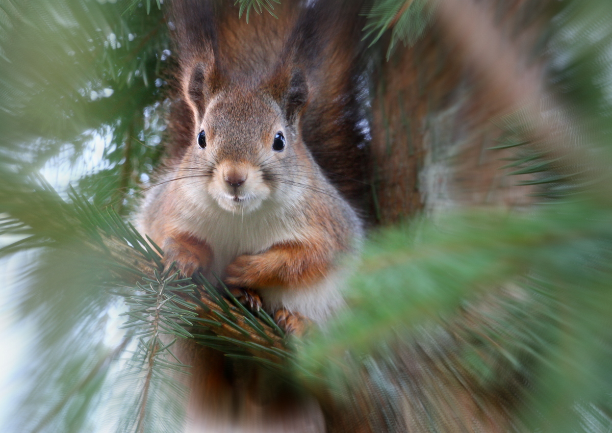 Valokuvaaja: reijo lehtonen