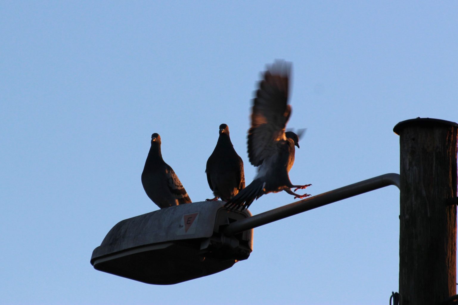 Valokuvaaja: Irja lehtinen