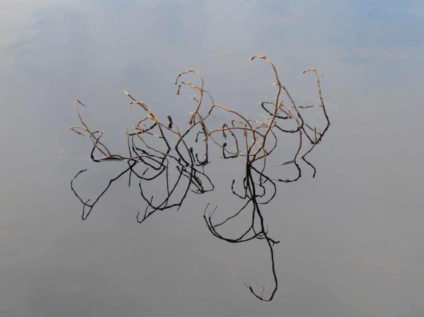 Valokuvaaja: Jaana Talvinen