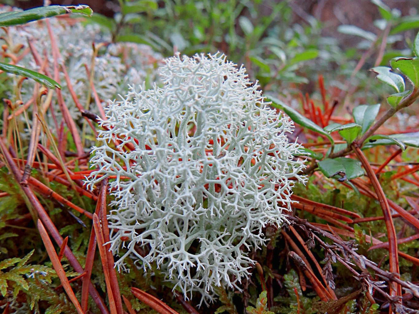 Valokuvaaja: Jaana Talvinen