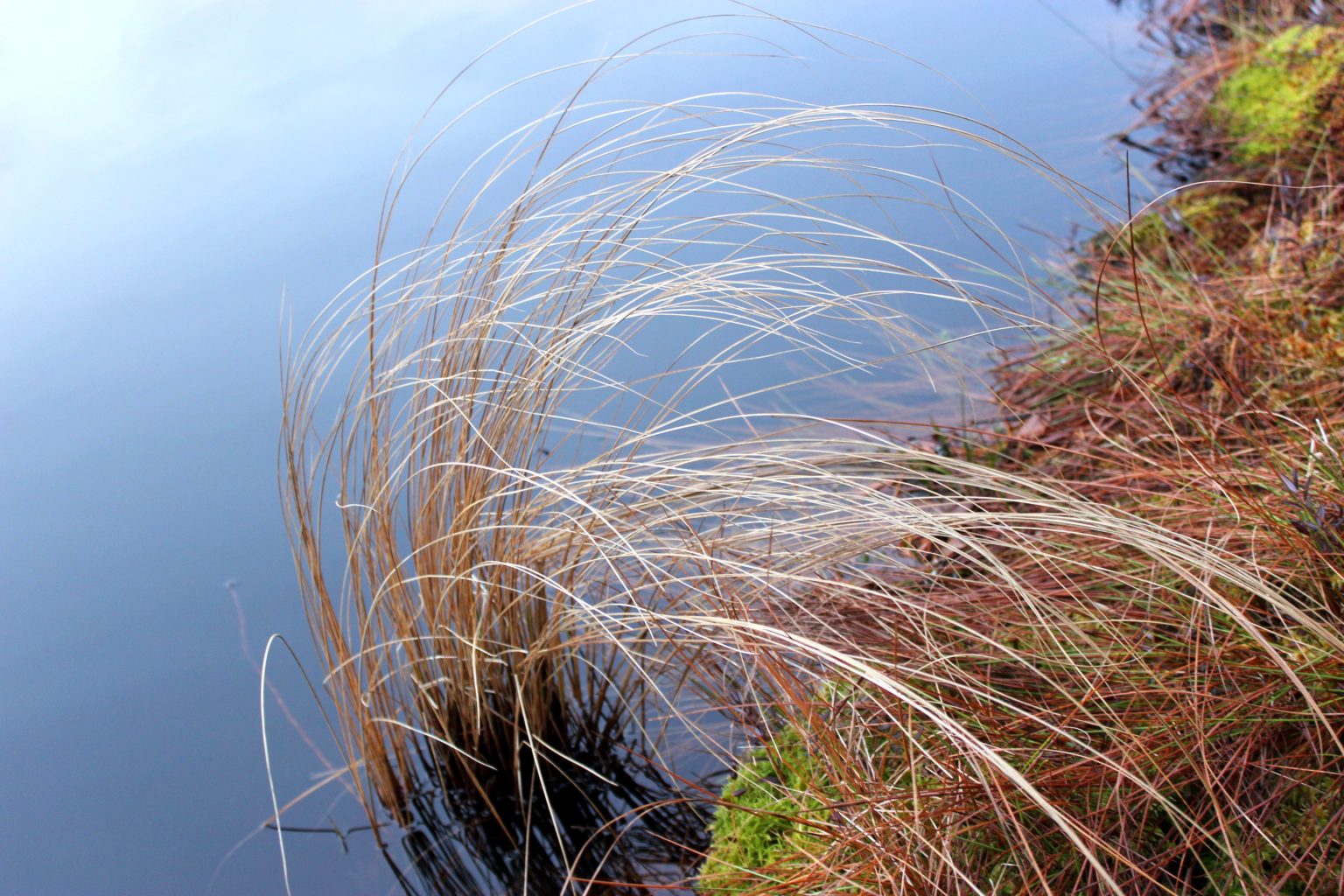 Valokuvaaja: Irja lehtinen