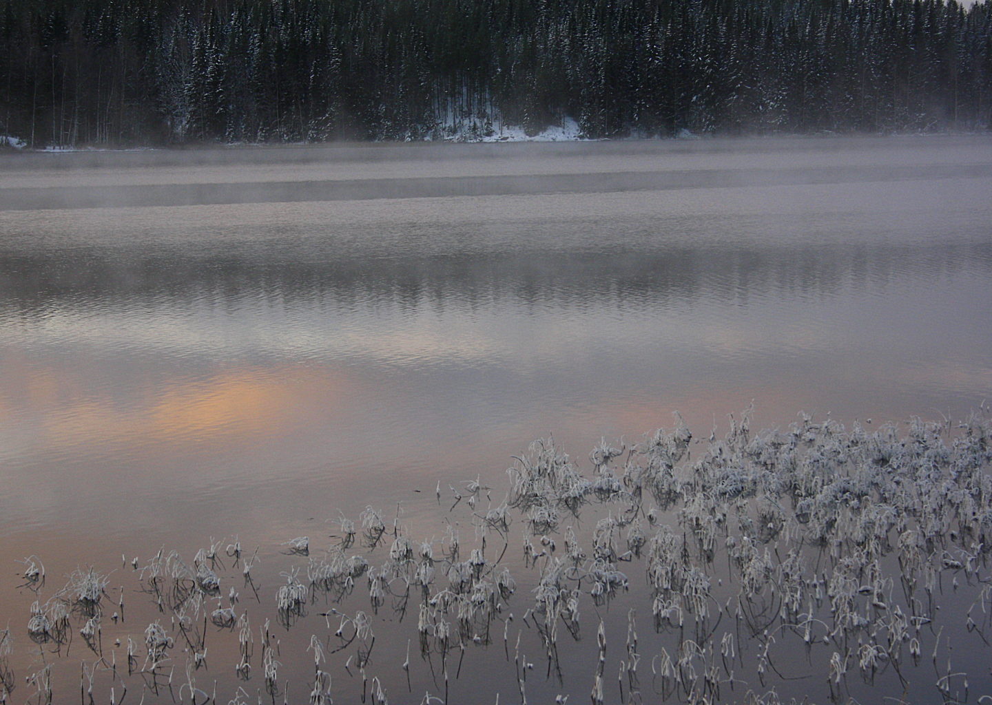Valokuvaaja: Sirpa Jyske