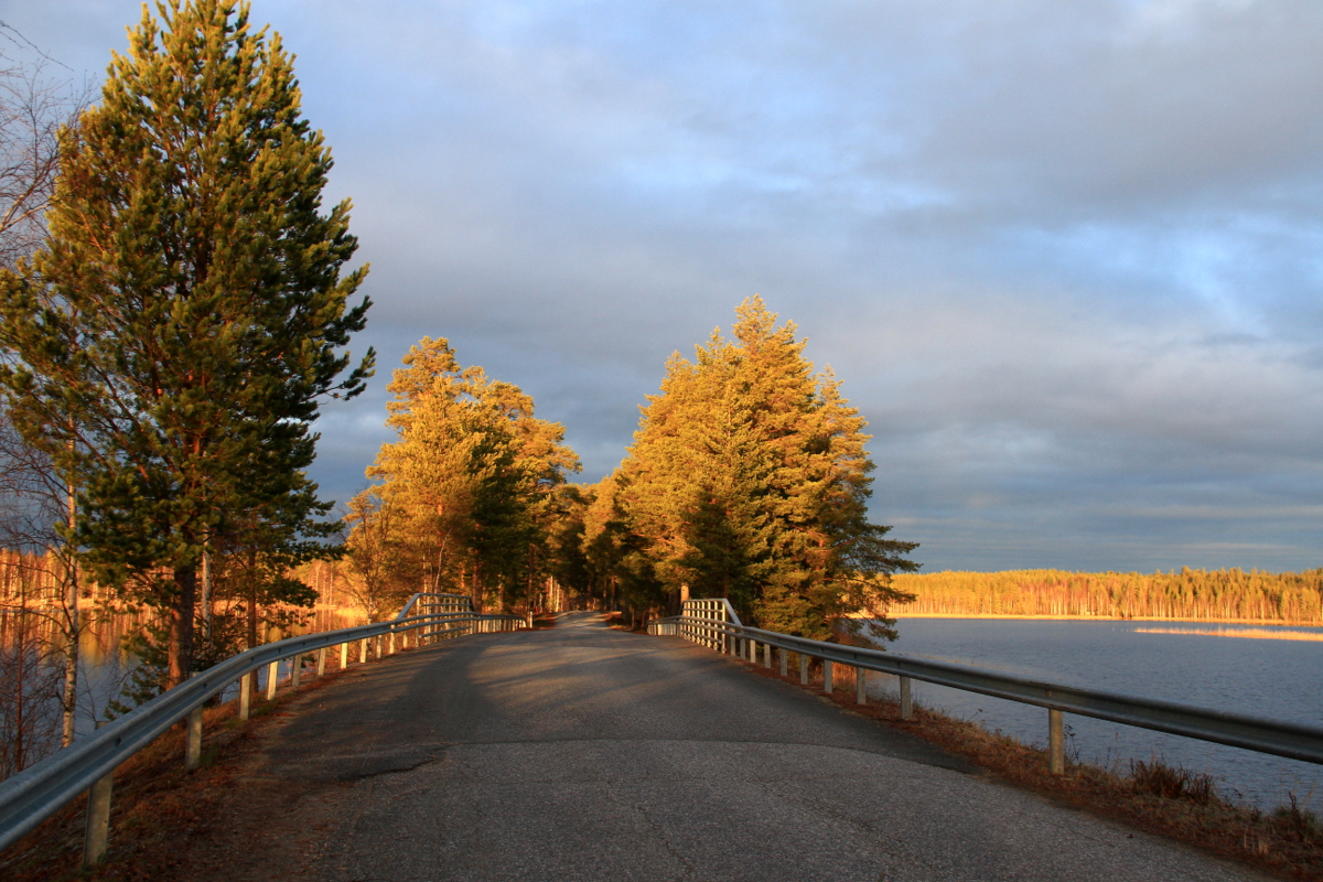 Valokuvaaja: reijo lehtonen