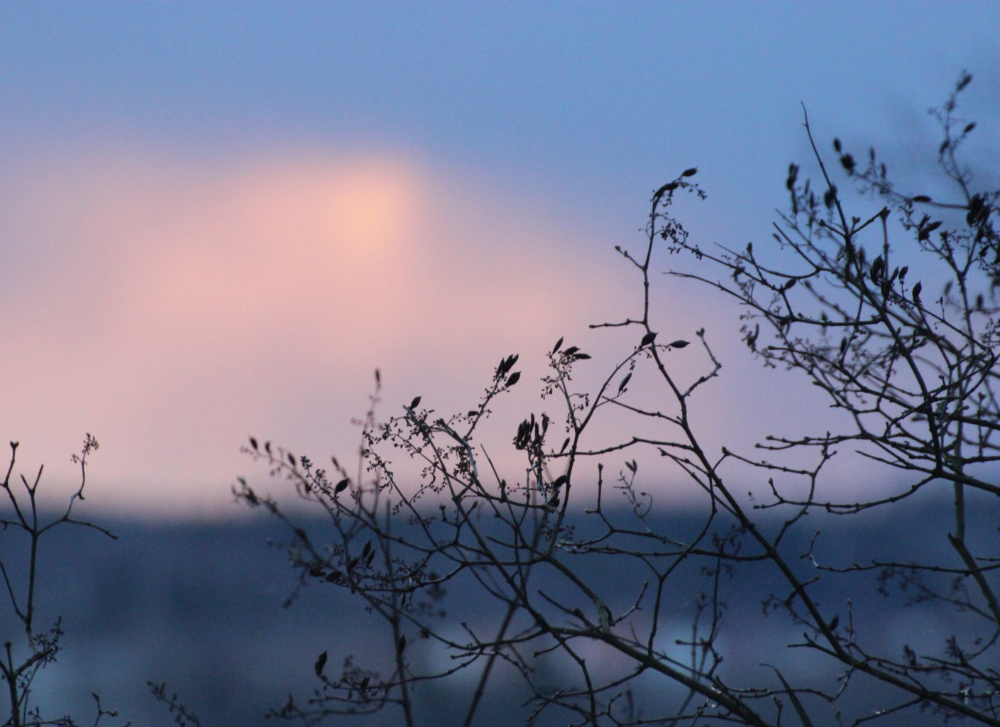 Valokuvaaja: Irja lehtinen Valokuvaaja: Irja lehtinen