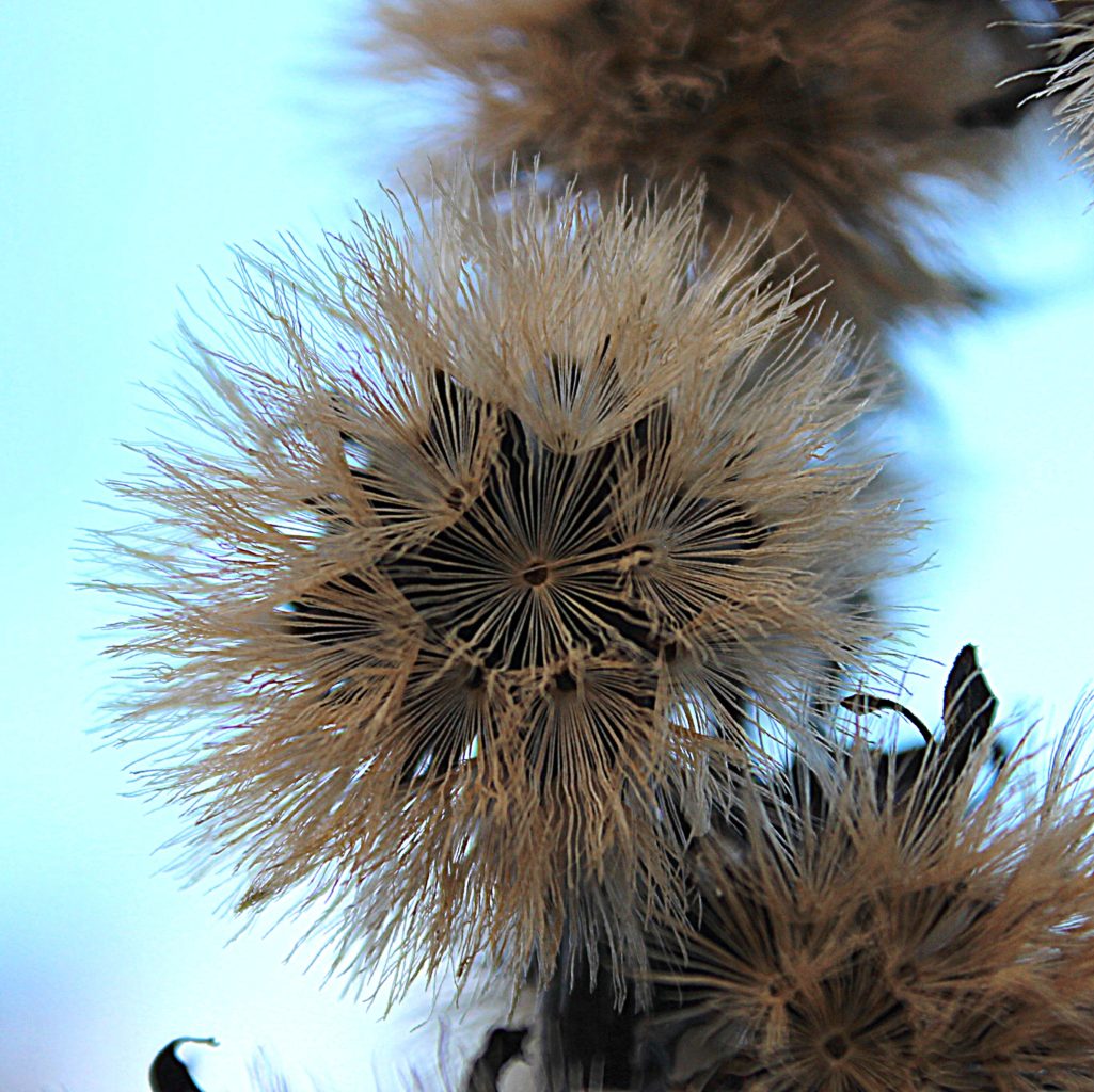 Valokuvaaja: Irja lehtinen