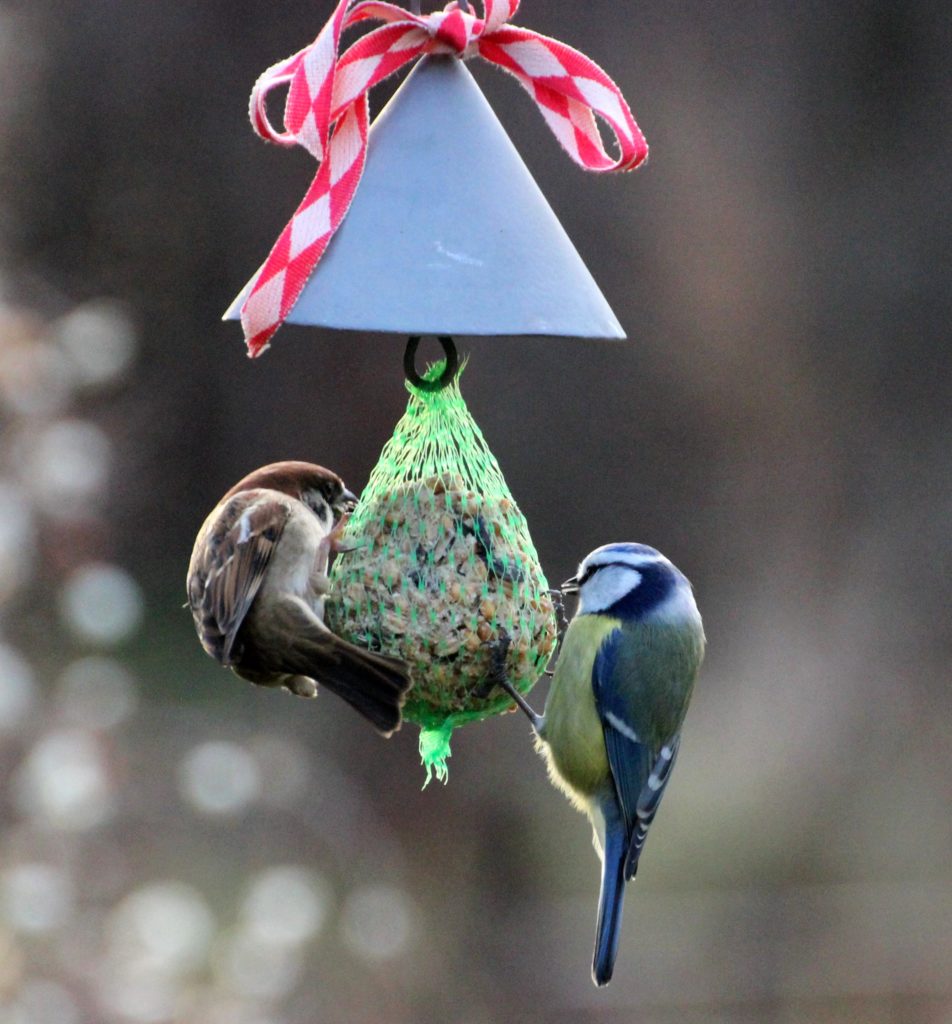 Valokuvaaja: Irja lehtinen