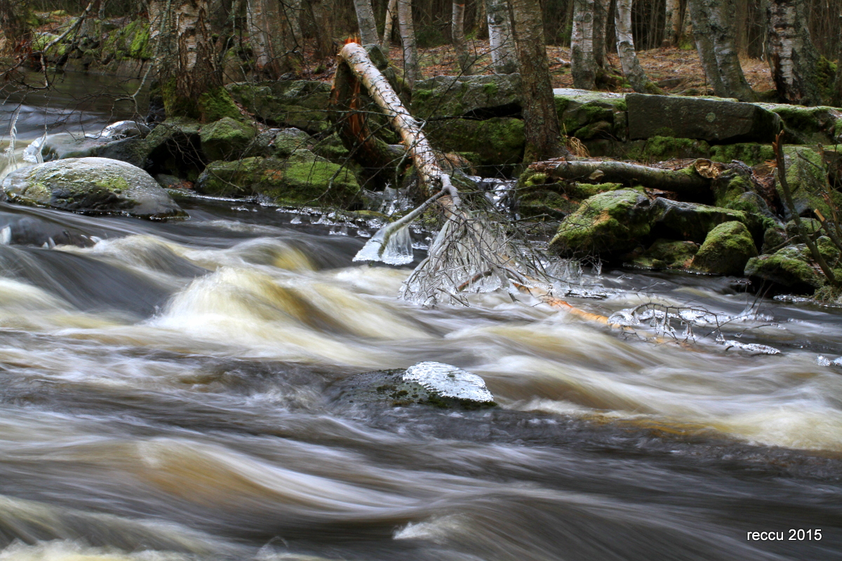 Valokuvaaja: reijo lehtonen