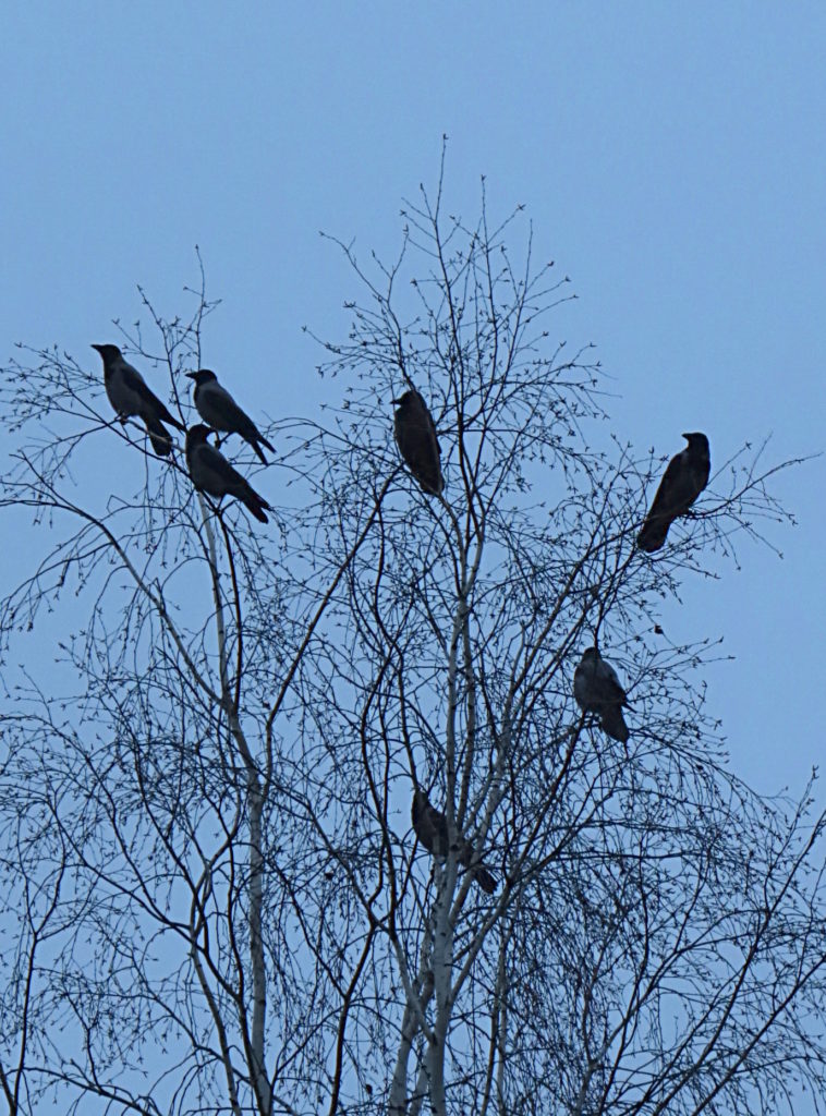 Valokuvaaja: Jaana Talvinen