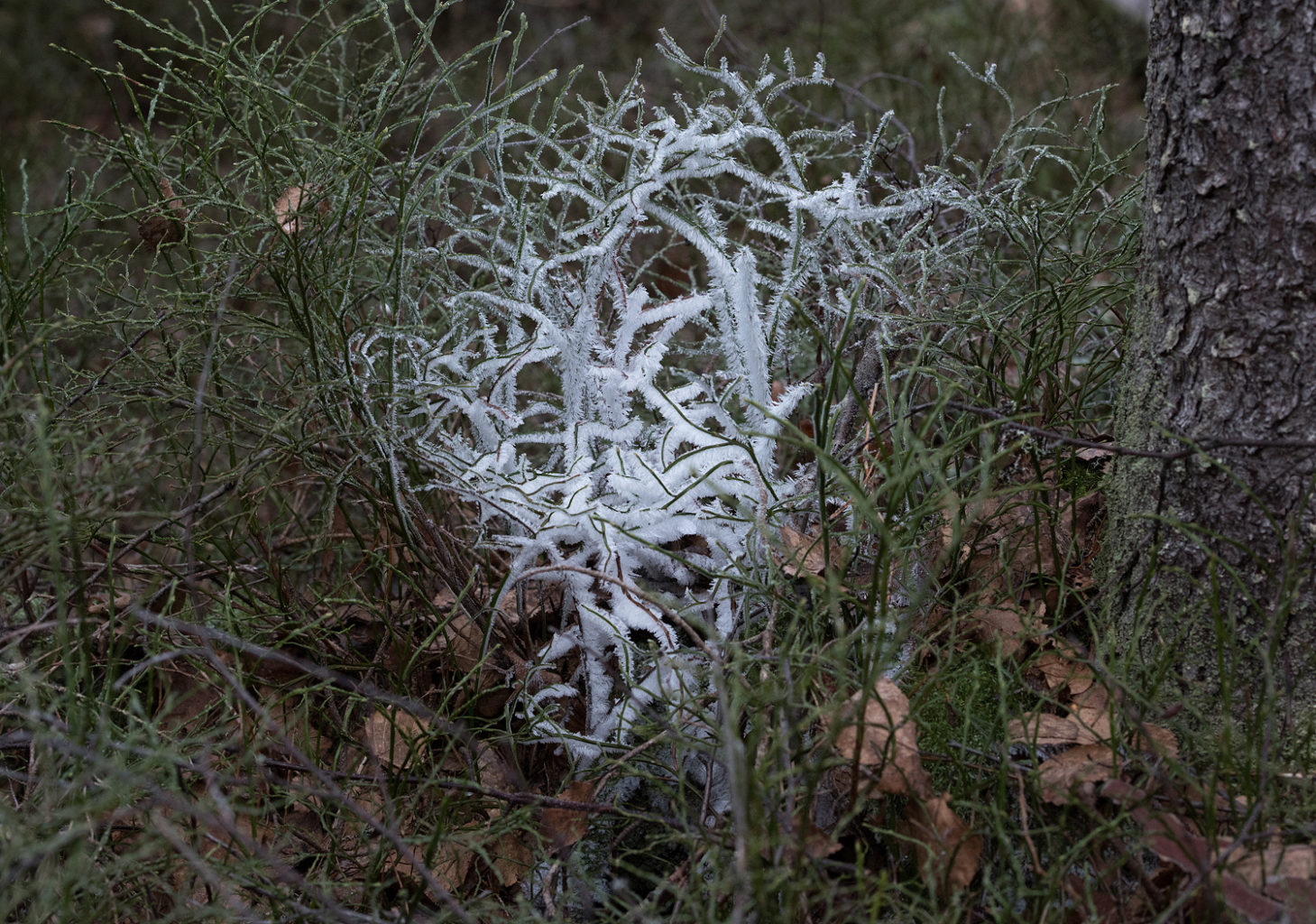 Valokuvaaja: Juha Poutanen