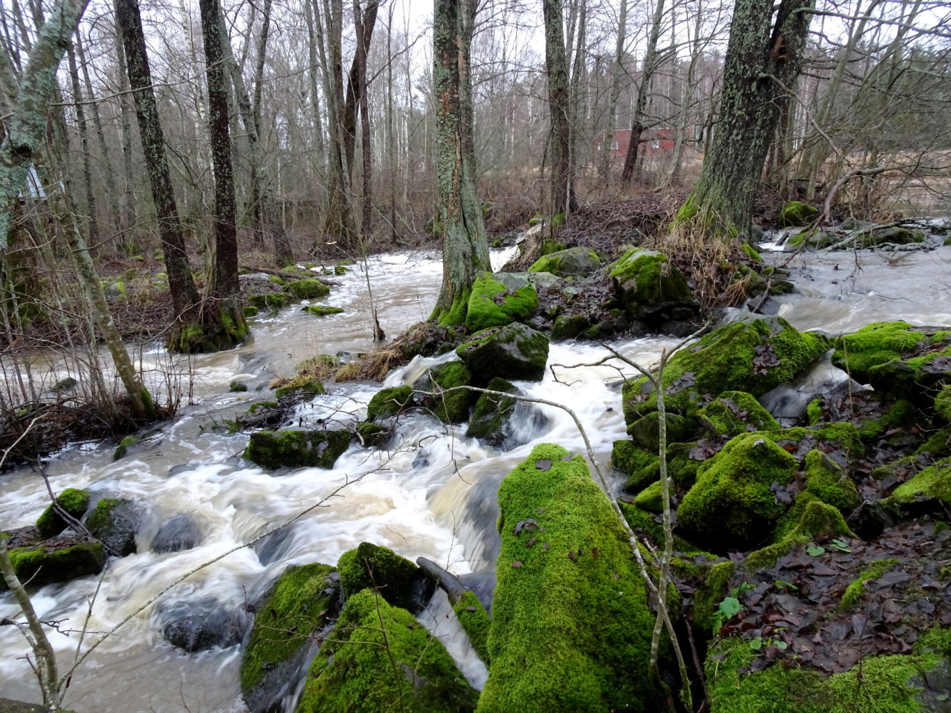 Valokuvaaja: Irja lehtinen