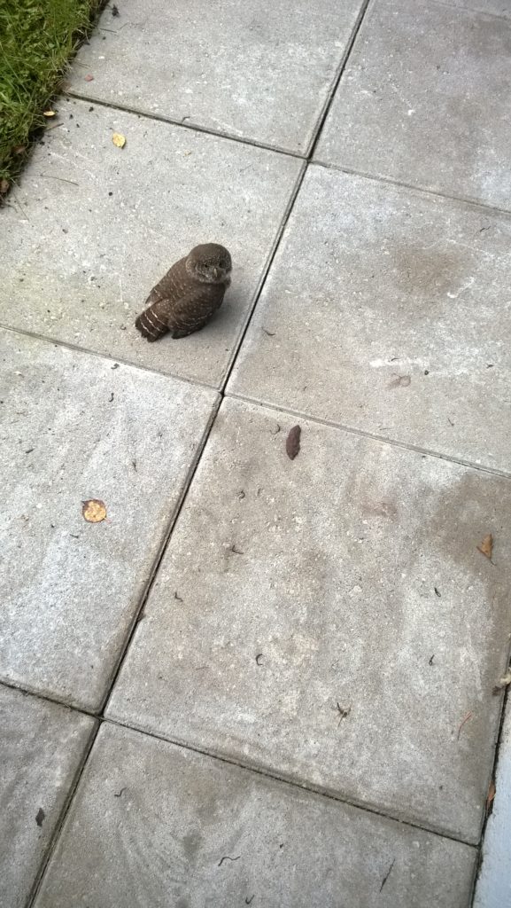 Valokuvaaja: Vilho Hinkula