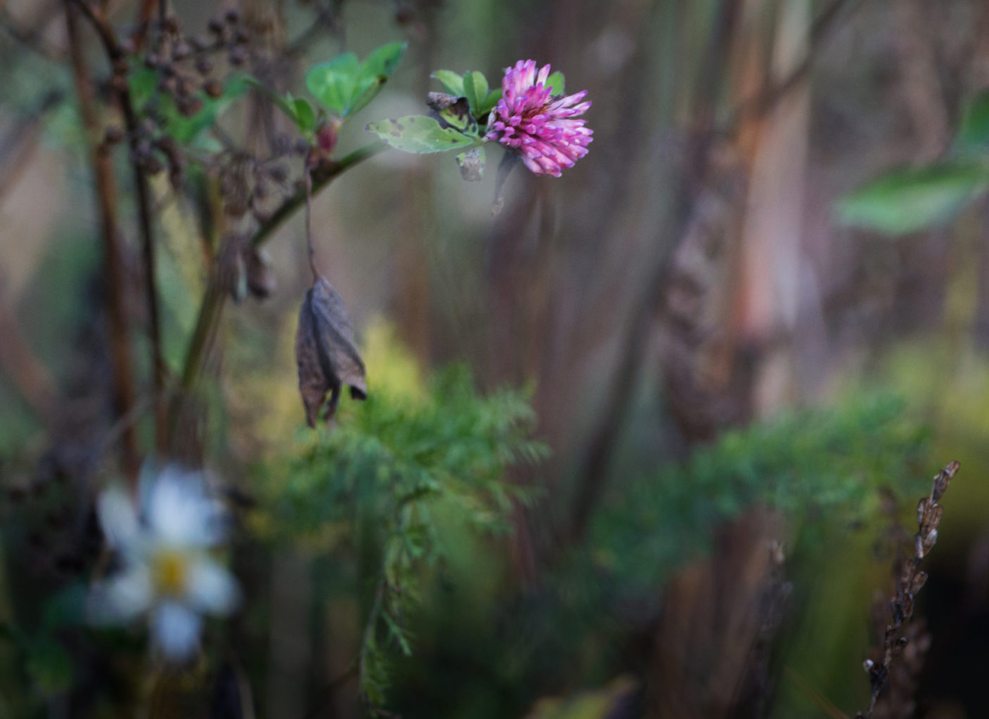 Valokuvaaja: Heikki Mahlamäki