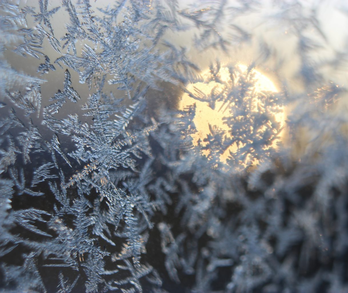 Valokuvaaja: Irja lehtinen Valokuvaaja: Irja lehtinen