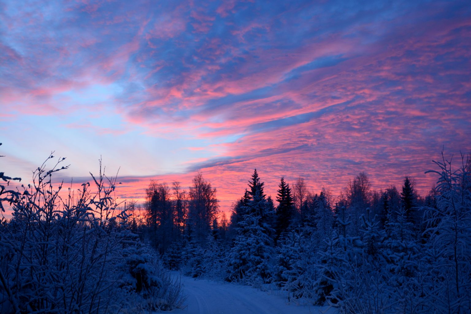Valokuvaaja: Maija Savolainen