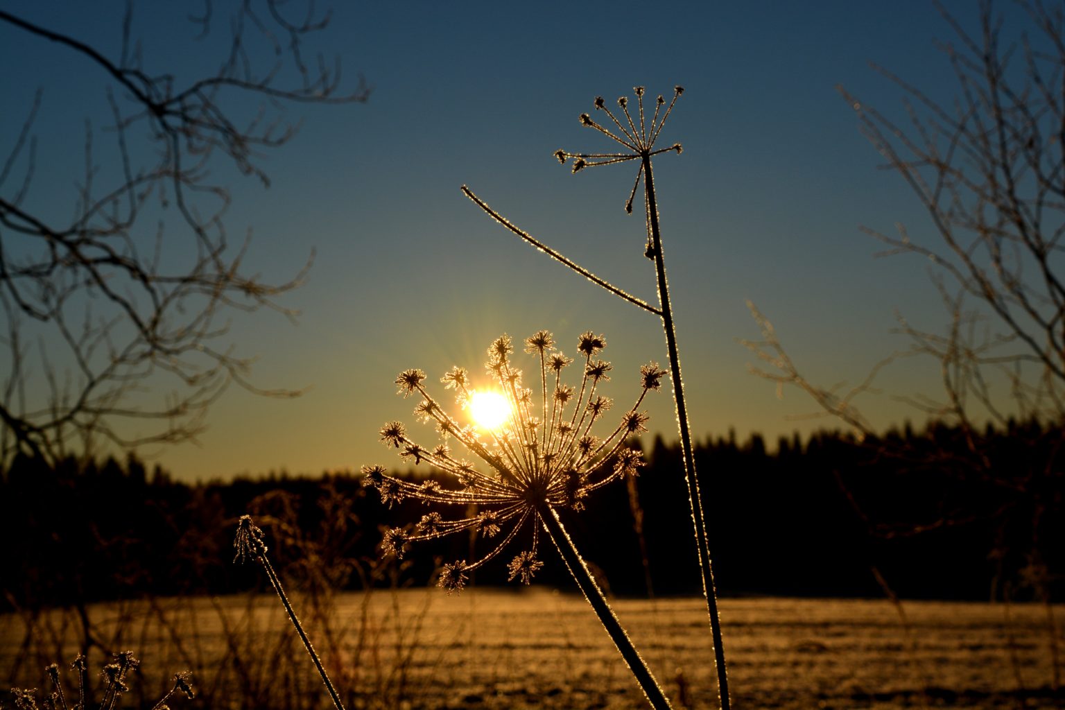 Valokuvaaja: Maija Savolainen Valokuvaaja: Maija Savolainen