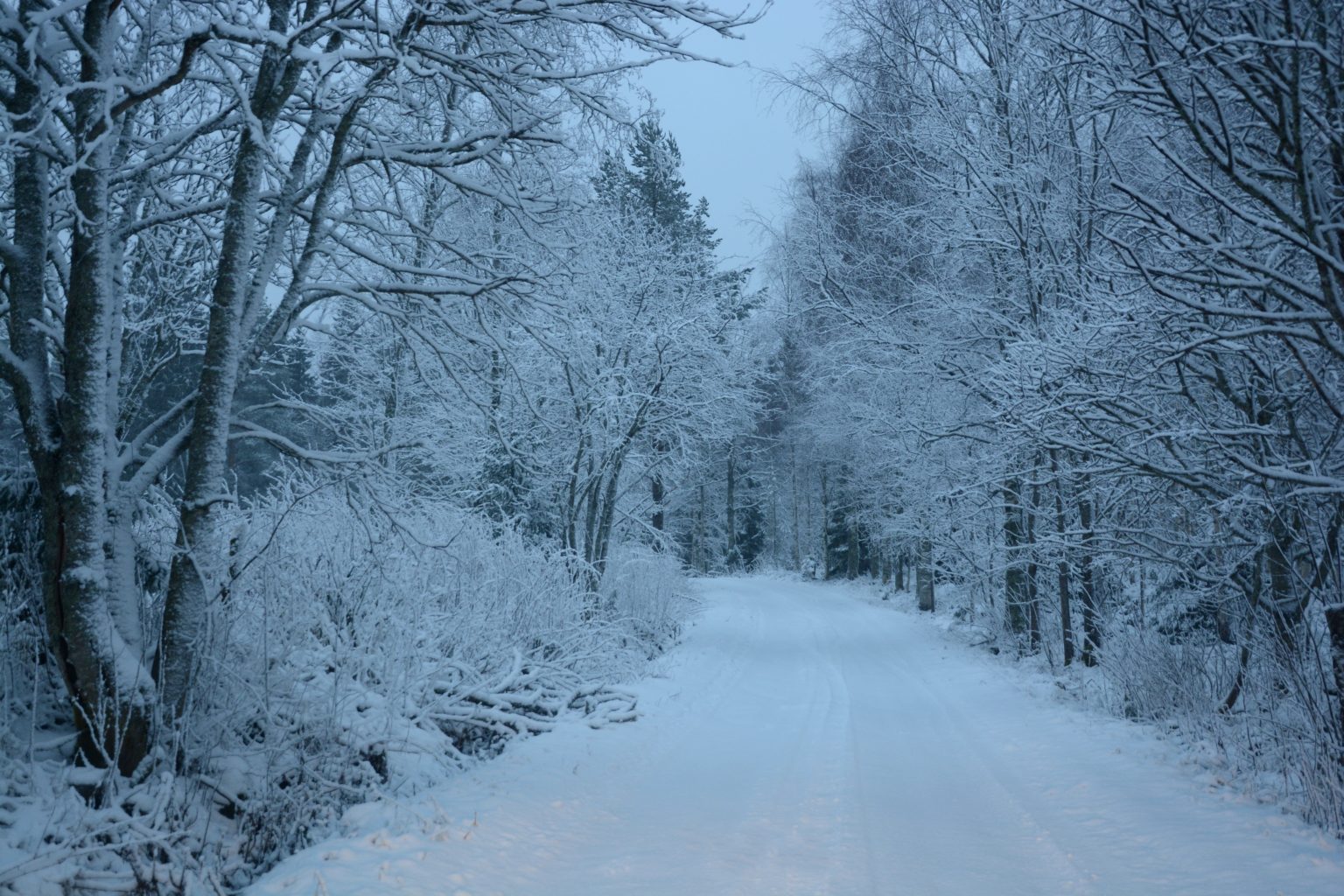 Valokuvaaja: Maija Savolainen