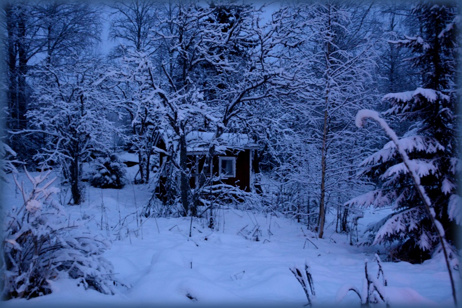 Valokuvaaja: Maija Savolainen