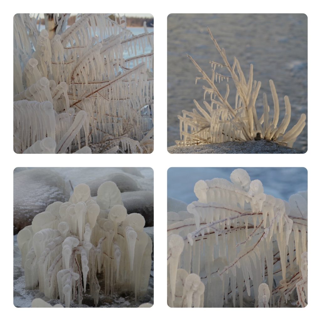 Valokuvaaja: Tuula Makkonen