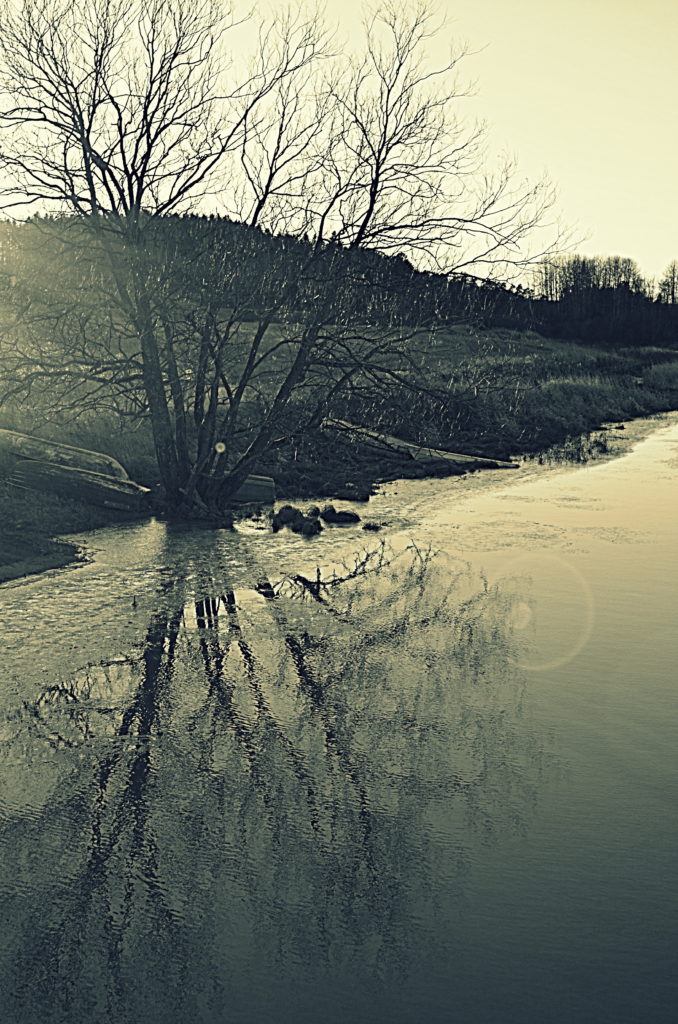 Valokuvaaja: Eija Varjola