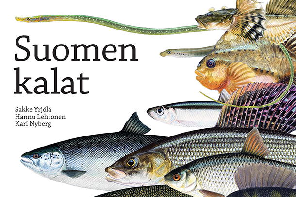 Lukuvinkki: Suomen kalojen hieno päivitys