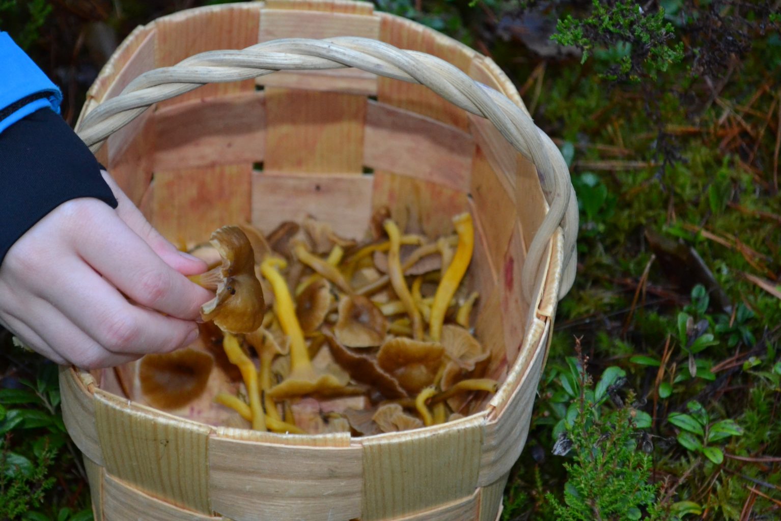 Valokuvaaja: Leena Rissanen Valokuvaaja: Leena Rissanen