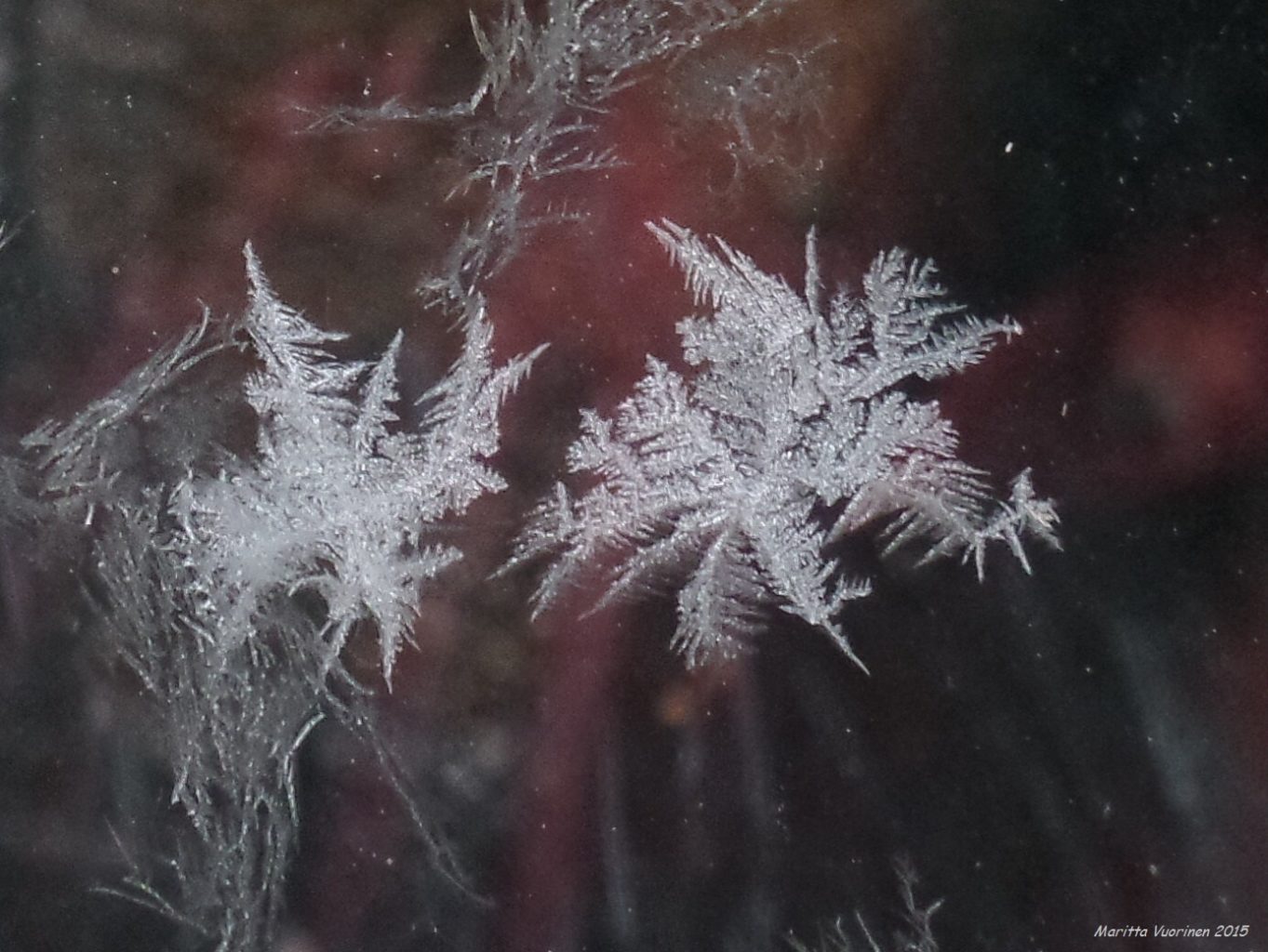 Valokuvaaja: Maritta Vuorinen