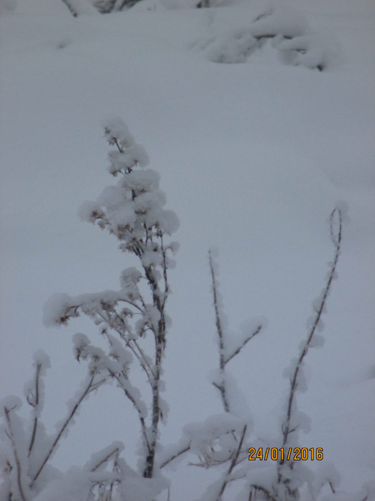 Valokuvaaja: yrjo lukkari
