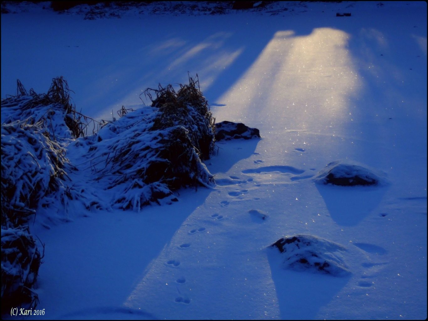 Valokuvaaja: Kari Saarinen