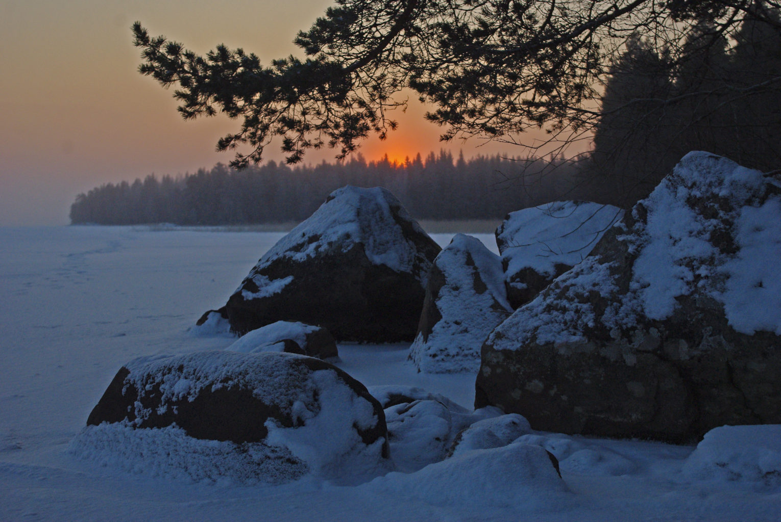 Valokuvaaja: Erkki Virtanen