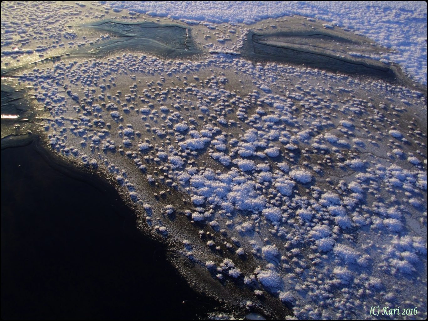 Valokuvaaja: Kari Saarinen Valokuvaaja: Kari Saarinen