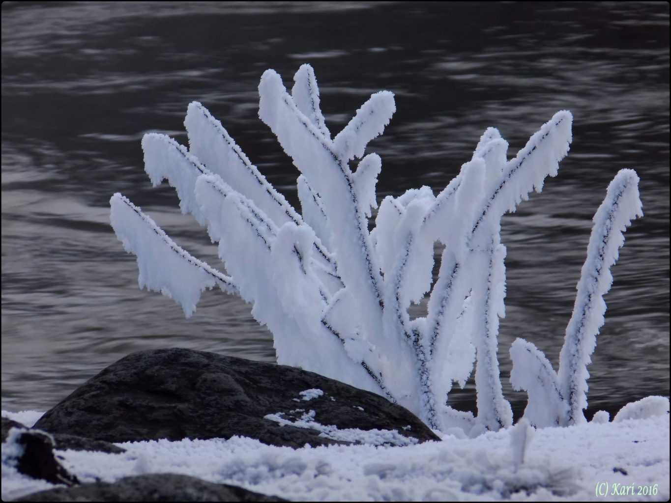 Valokuvaaja: Kari Saarinen