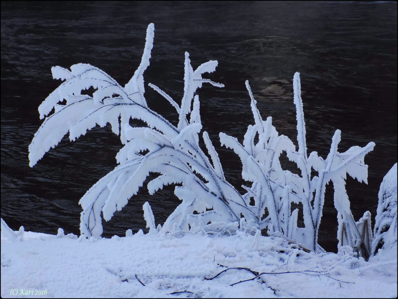 Valokuvaaja: Kari Saarinen